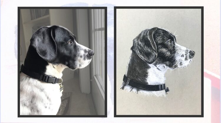 Artful Memories - Customized Pet Portraits